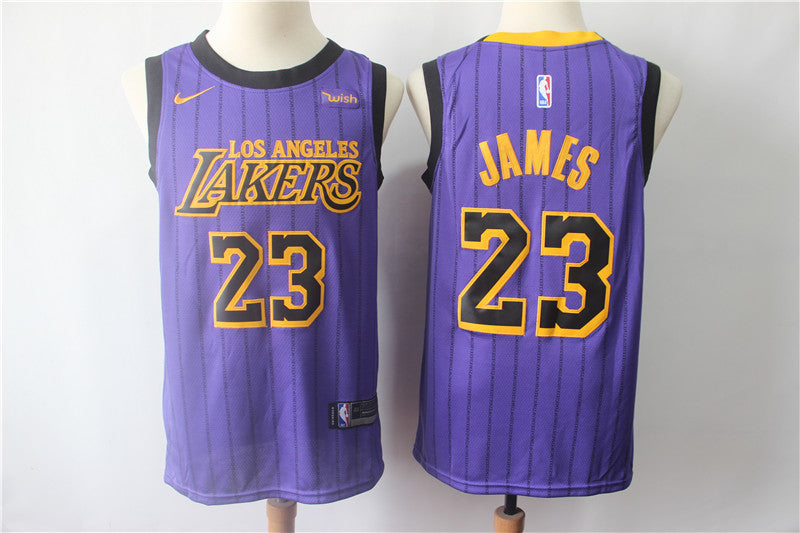 LeBron James #23 Los Angeles Lakers City Edition Jersey – Purple Pinstripe
