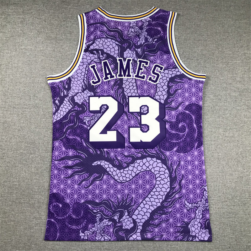 LeBron James #23 Los Angeles Lakers 2018-19 Hardwood Classics Chinese New Year Dragon Jersey – Purple