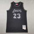 LeBron James #23 Los Angeles Lakers 2018-19 Hardwood Classics Black Python Jersey